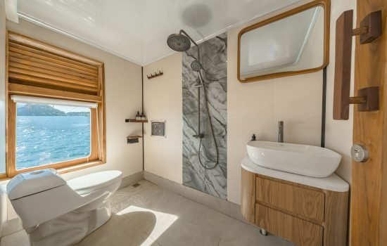 Deluxe Cabin 1 - Toilet (12)