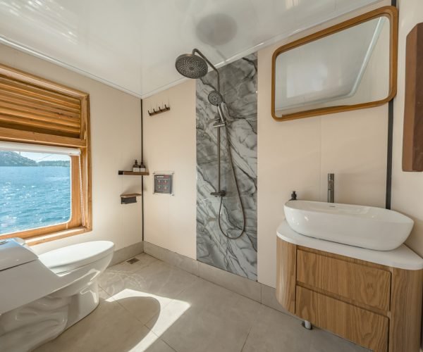 Deluxe Cabin 1 - Toilet (12)