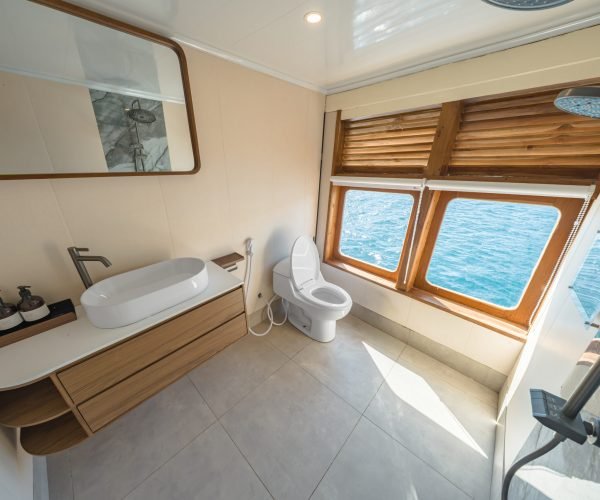 Master Cabin - Toilet (1)